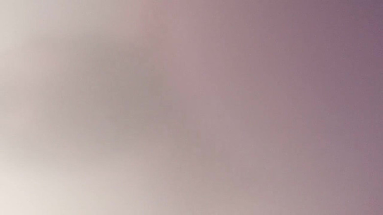 Skin and earth: Gordito oso en primer plano desde abajo Gruñir y correrse...