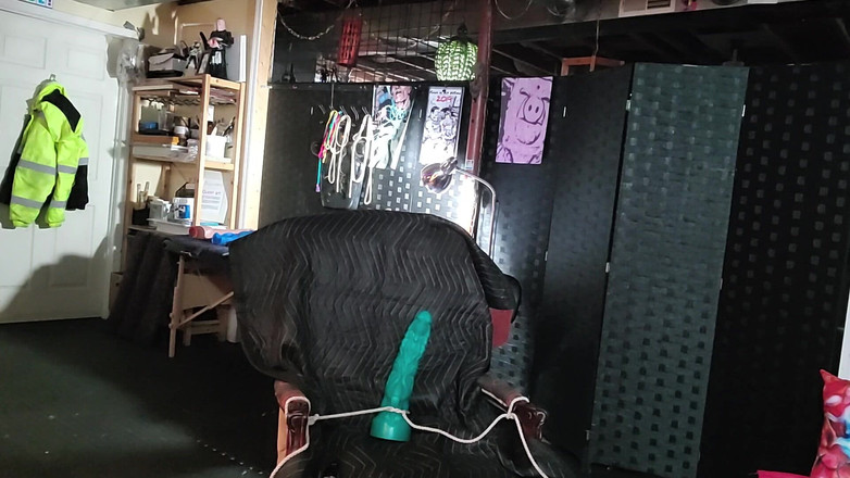 City hog: Eddie Je prase