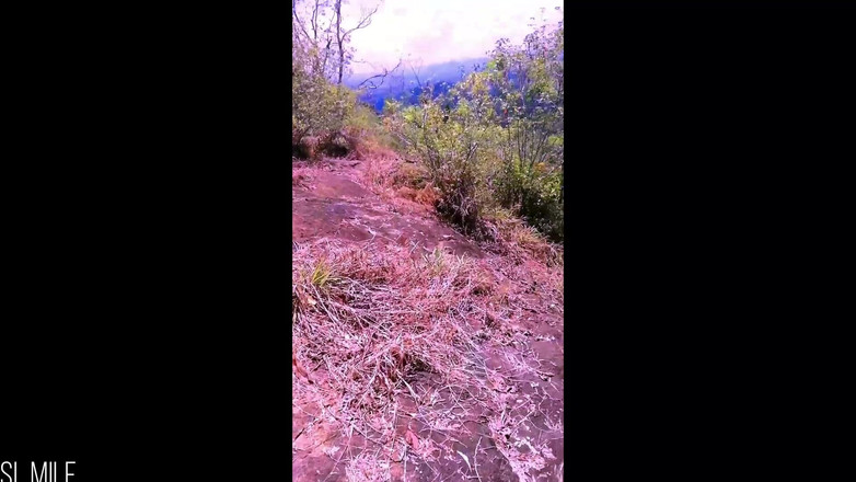 JANAKI: Arriscado rápido sexo em público na selva com amiga peituda