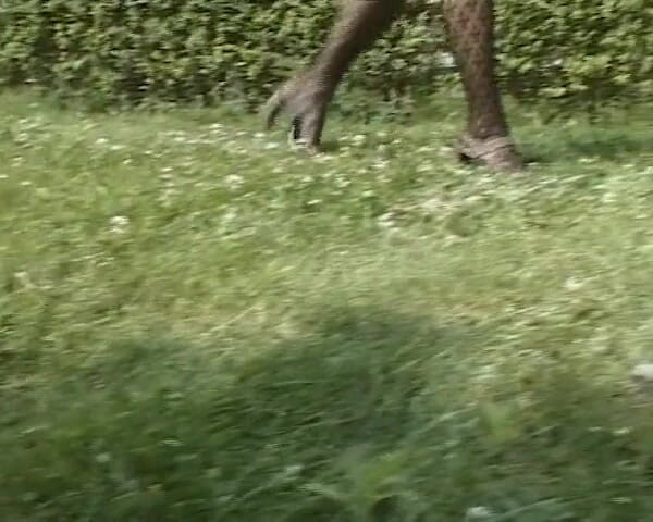 BB Video - Old School: German Amateur Teen Outdoor Footjob with a Hot Blonde