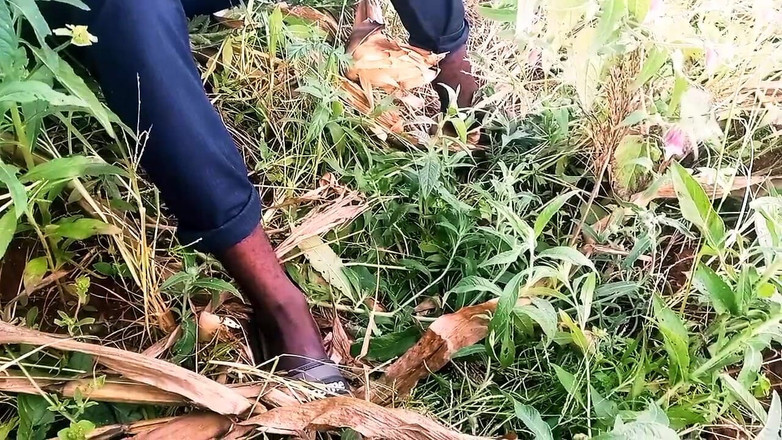 Judith xxx: 새로운 사랑에서