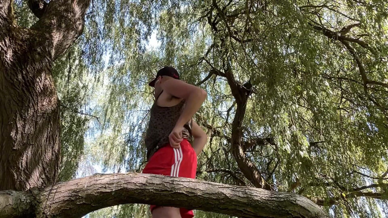 Buggiesmugglr: If You Go Down to the Wood Today You Might...
