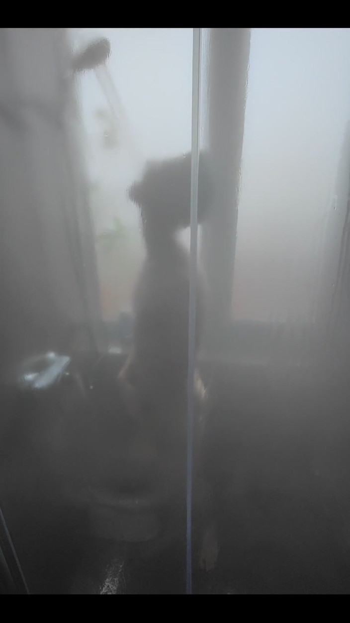 Snauwflake: Doing Dumb Thing in Shower