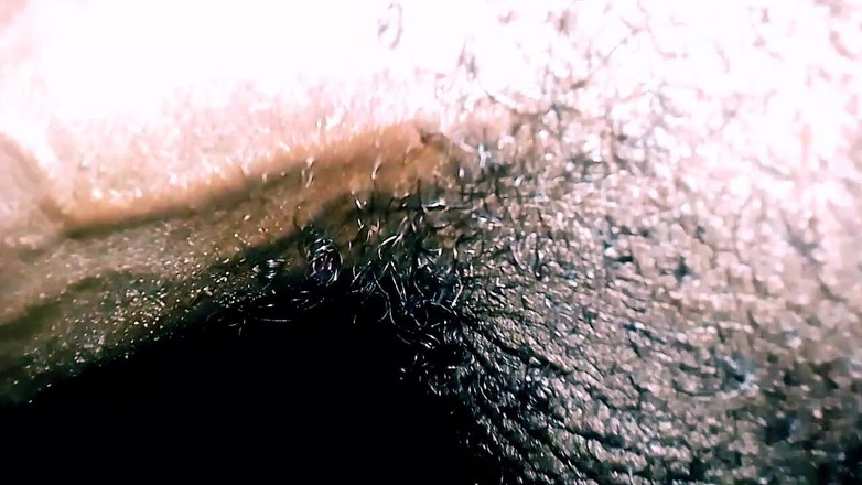 Judith xxx: Bel homme wood