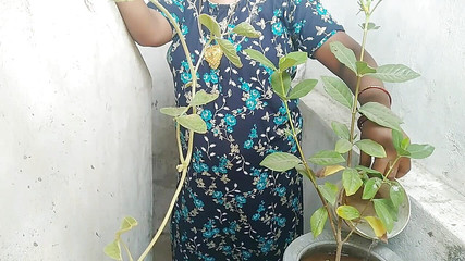 Priyanka314: インドのタミル語村の美しさAuntyセックス