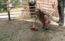 Absolute BDSM films - The original: Dominating humiliating pussy bondage in the farm