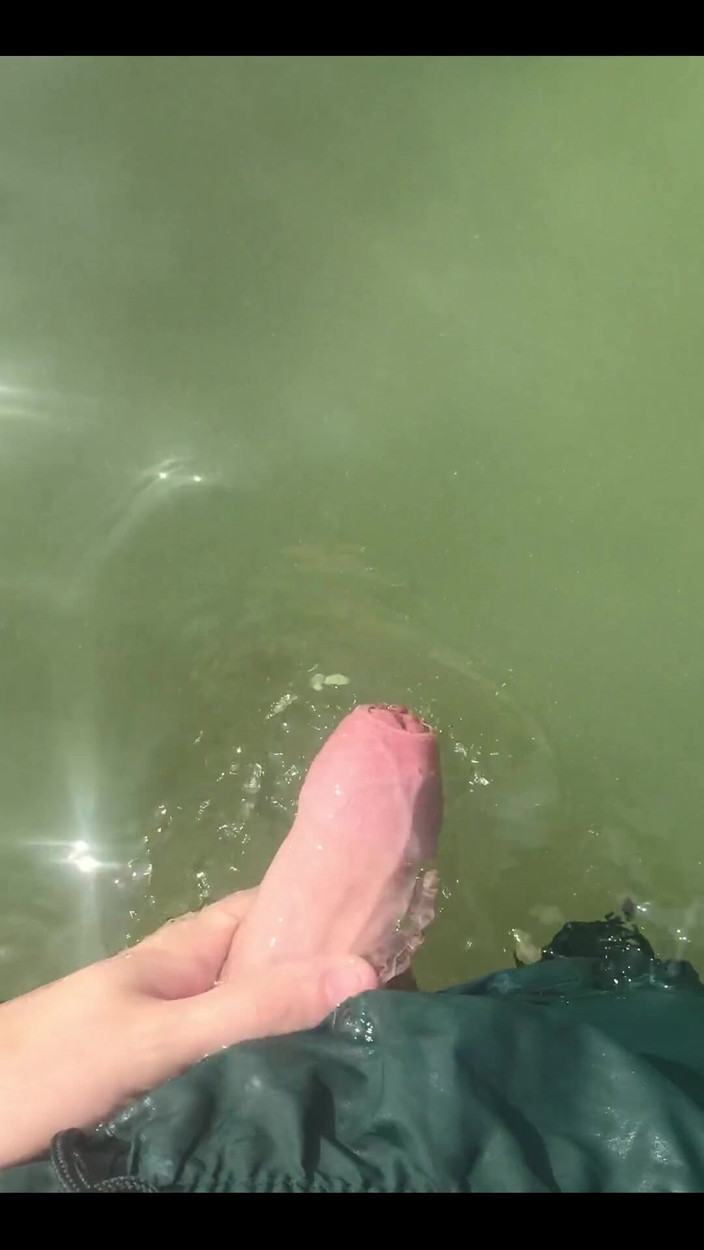 Hardim: Petite Baignade