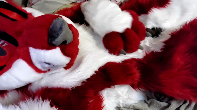 PawgrammerSocks: Szarpanie i pokazywanie footpaws w fursuit na całe ciało