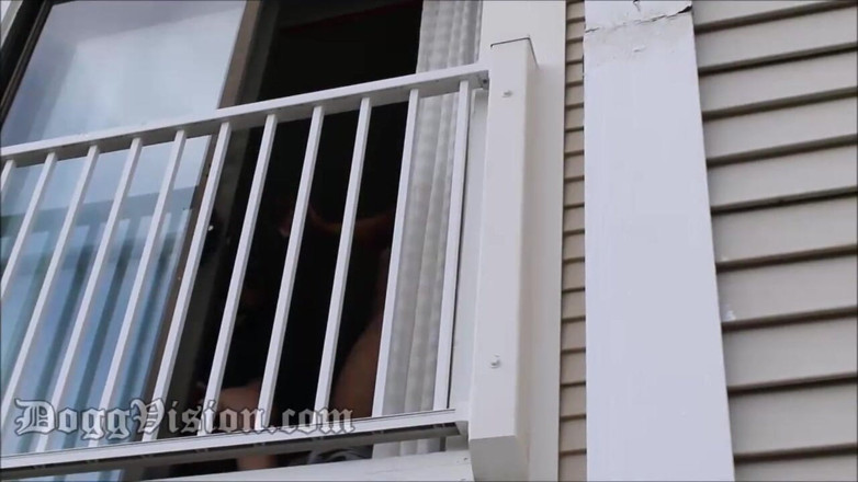 DoggVision: Jessica Popzickle gives BBC head in hotel window