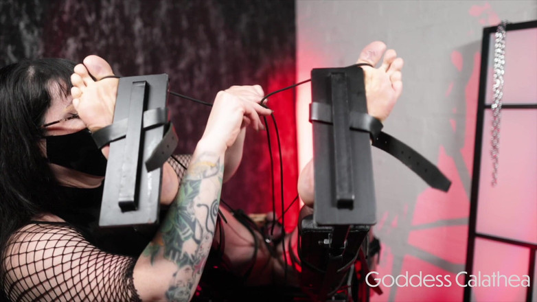 Goddess Calathea: Inversion, table CBT, situation difficile