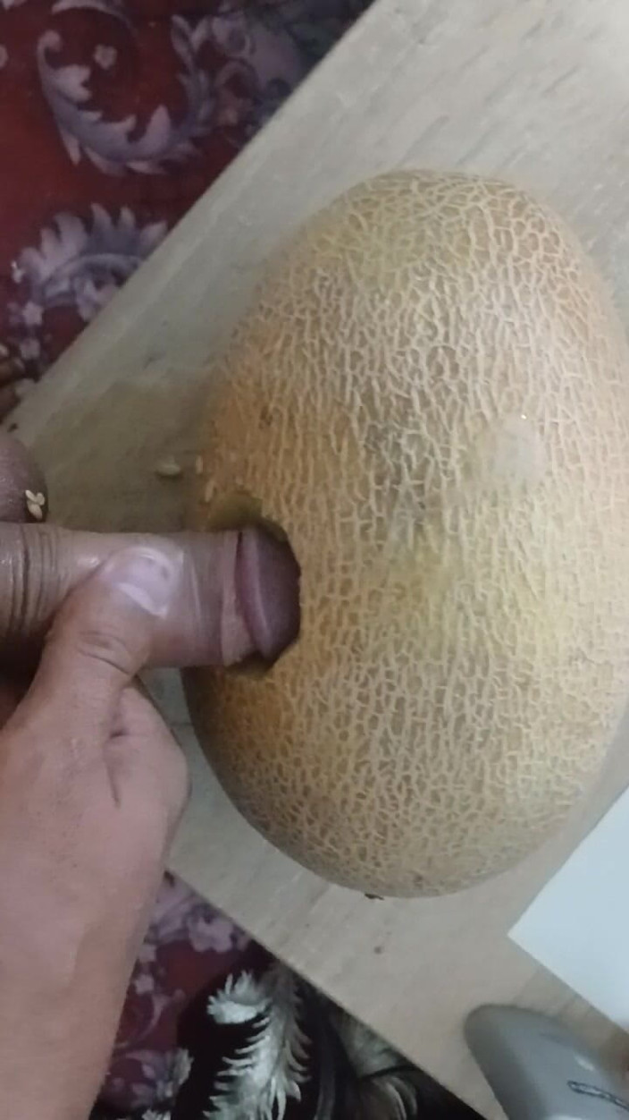AlexCat: A Melon Named Yulia