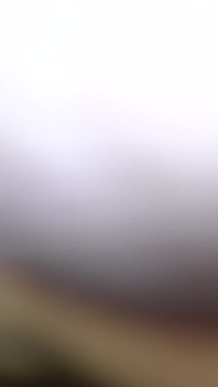 Hairy Ass, Balls and Dick of a Midget Close up