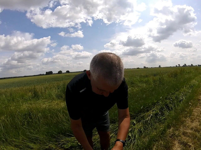 Andy: Laufen sie 38 2025