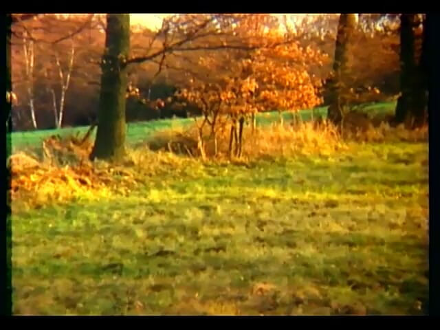GERMAN PORN CLASSICS: Wet Cats in Orgasm Frenzy Herzog Video