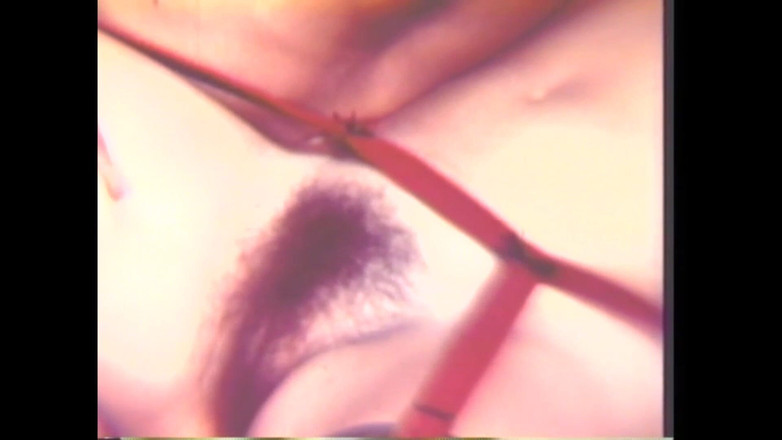 Vintage megastore: クソ野郎どもの集まりだ