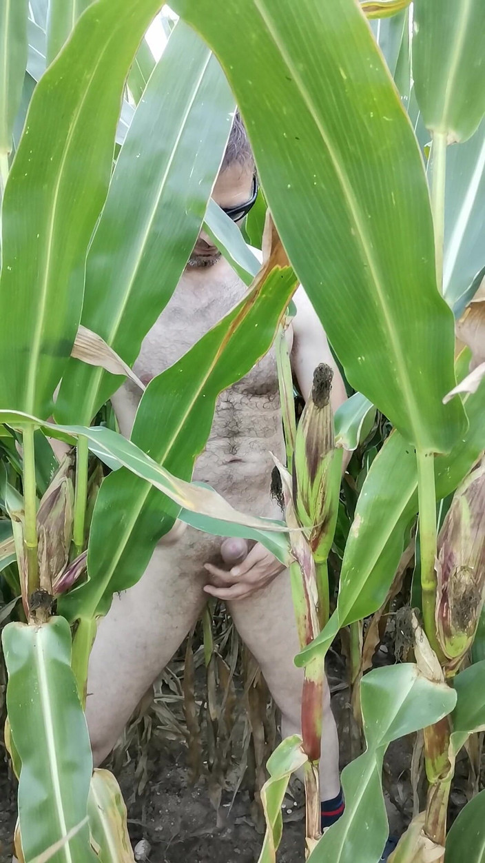 Seksi999: लंड को प्यार करना