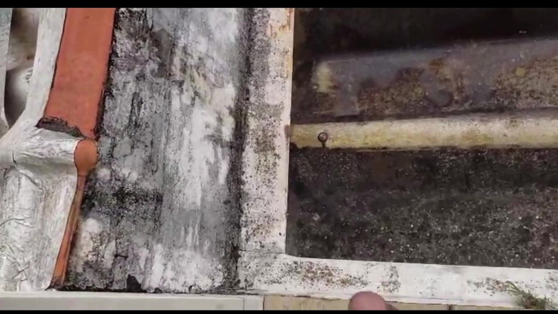 BBIG: După antrenament, pe acoperișul vecinului