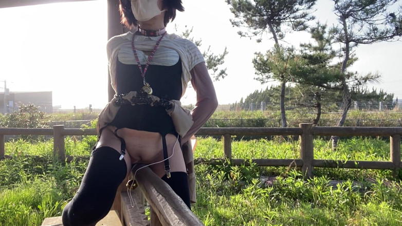 megu2002: No. 196: Exposing My Pussy at a Rest Stop by the...