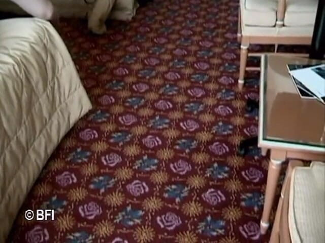 Horny Teenies: Cherrypoppers EP6 DVD