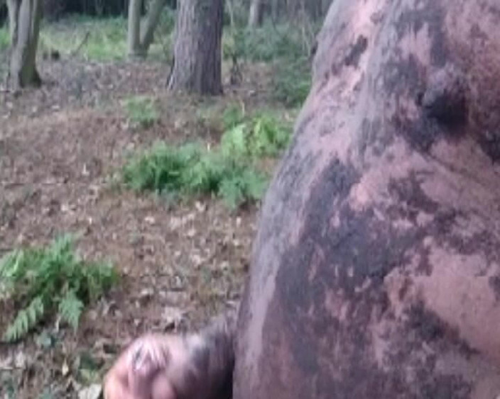 Andy: 第3部分 在树林里的肮脏玩耍