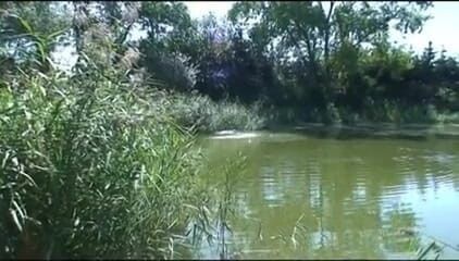 Out Sexxx: Country Cows - Vacche Di Campagna DVD
