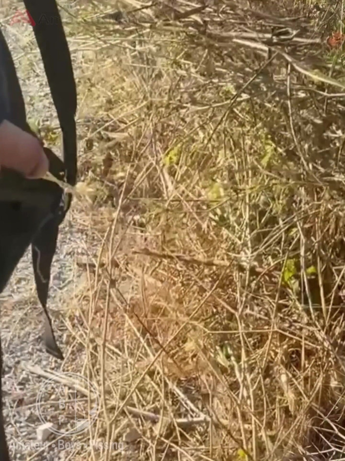 AmateurBoysPissing: Boy Followed His Straight Friend Who Went for a Pee