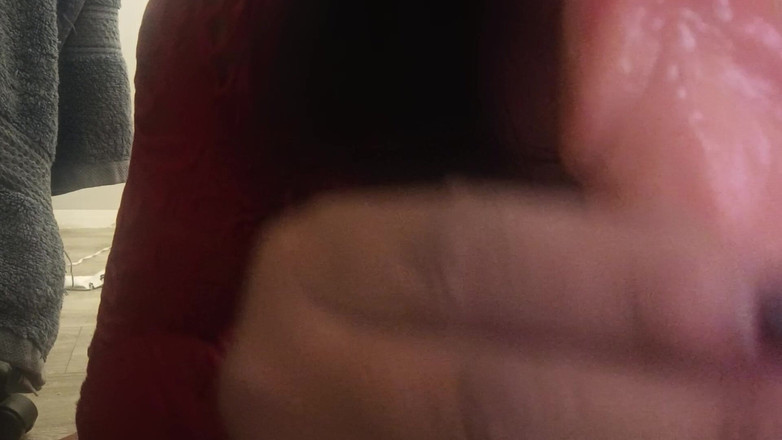 Charlotte studio: Я твоя покорная