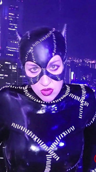 Catwoman Snatches a Robin Full Movie