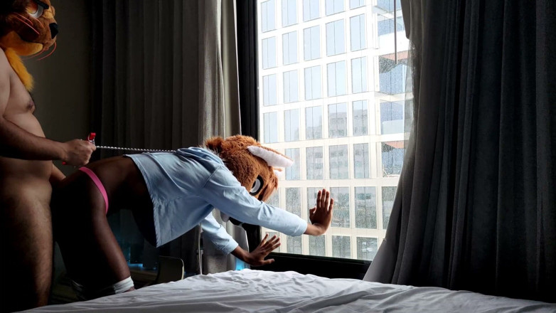 PawgrammerSocks: Bareback, femboy, combinaison de fourrure poilue, baise devant la fenêtre