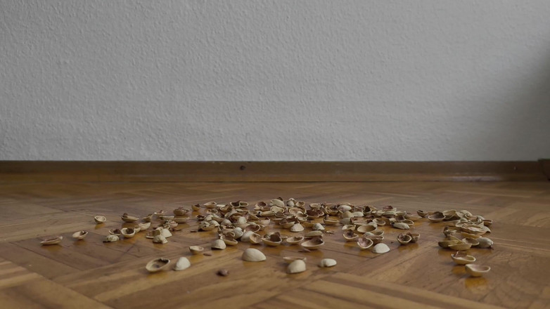 Your QueenXoXo: 130kg Woman Walking on Pistachio Shells - Crunching Sounds