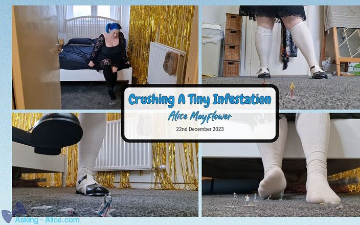 Alice Mayflower Productions: Crushing a Tiny Infestation - Solo Girl