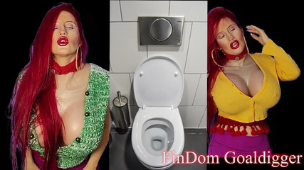 FinDom Goaldigger: Trasformazione in carta igienica