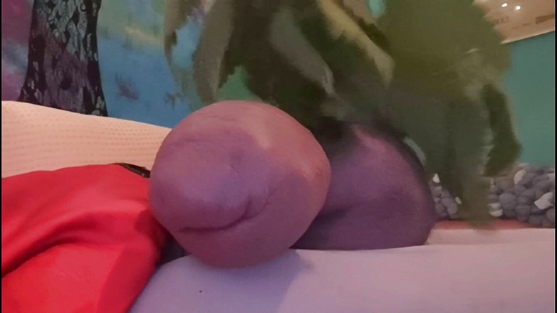 Monster_Meat_: Brandnetels maken me gek