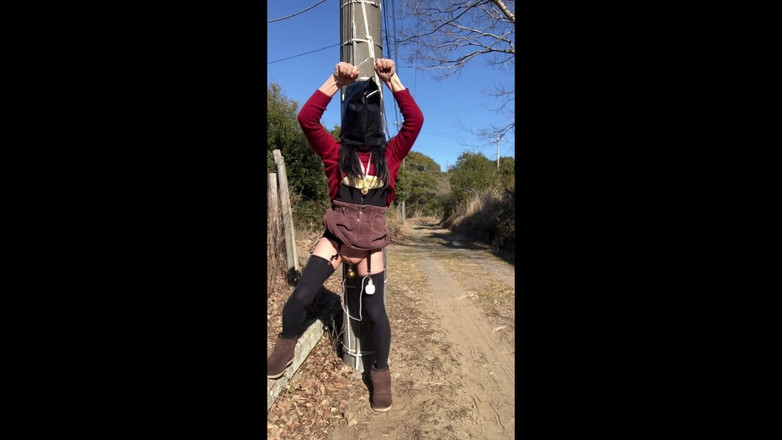 megu2002: Treinamento de Treinamento de Treinadores Nº 101 Com Rotores Vendados em...