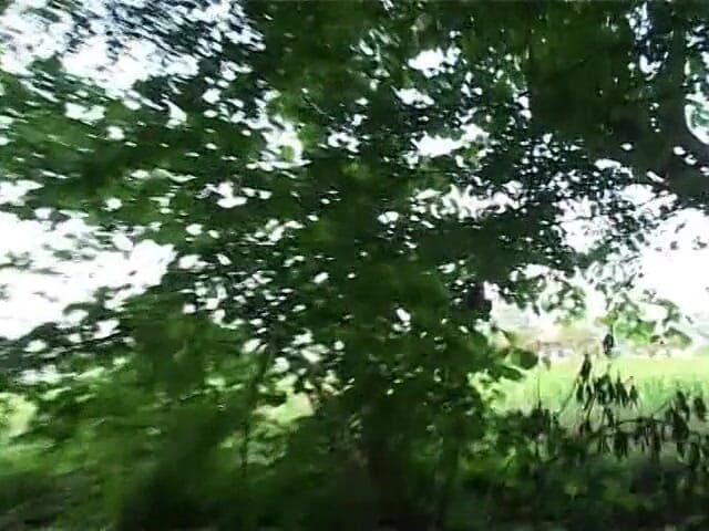 Out Sexxx: Italian amateur brunette handles two cocks in the countryside