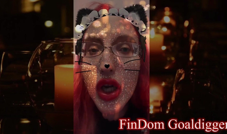 FinDom Goaldigger: Cat shemale princess transformation