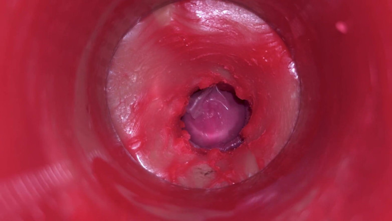 Ladybottox: Camera Inside Pussy: Powerfull Cum in Pussy! Best Internal Asmr