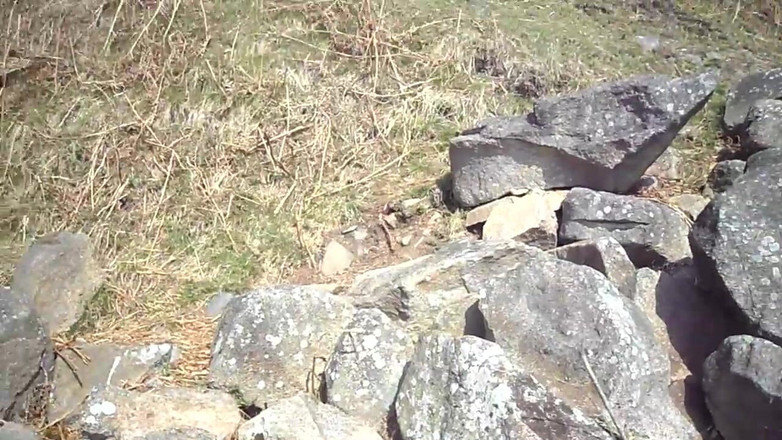 Creampie Clinic: 24 Hodin Ptáka Pro Nezbedné Holky