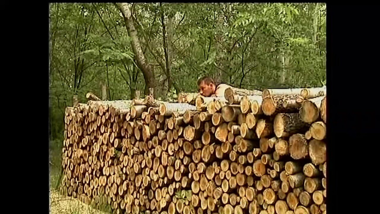 Muschi movie official: Bystig brunett knullar hård kuk utomhus