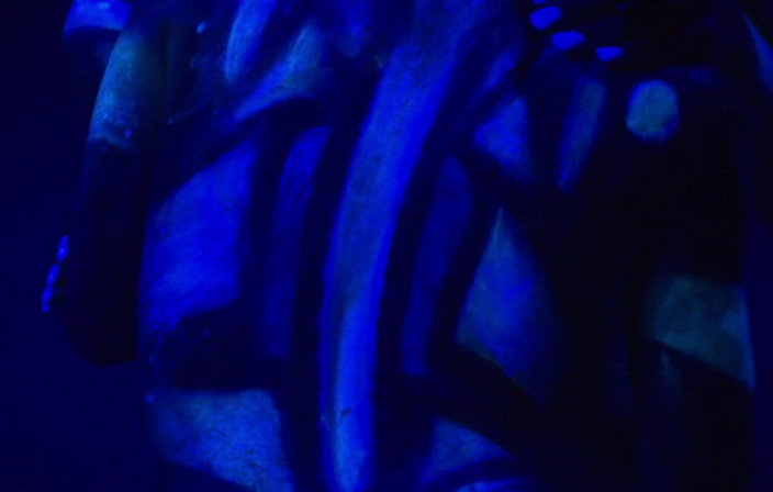 Radical Lesbian: fluorescent body paint girls.