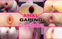 Kenzie Star: Anal Gaping Compilation Ft Sissy Kenzie Star