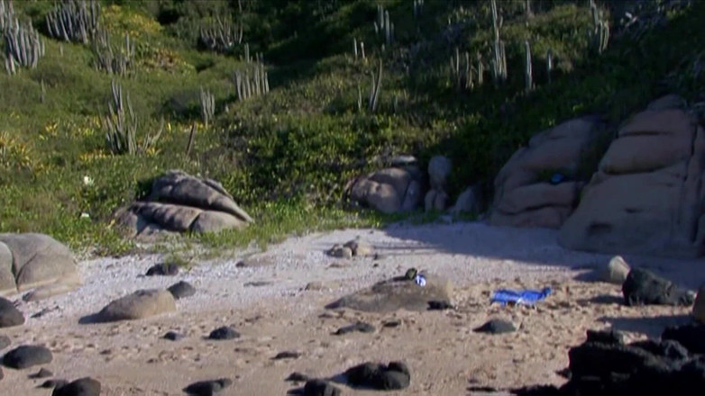 Pervy Studio: Stacey Saran y sus novias lesbianas en lavado de autos...