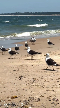We Travel to the Beach of San Luis