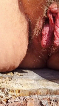 Une chatte en plein air se fait dorloter