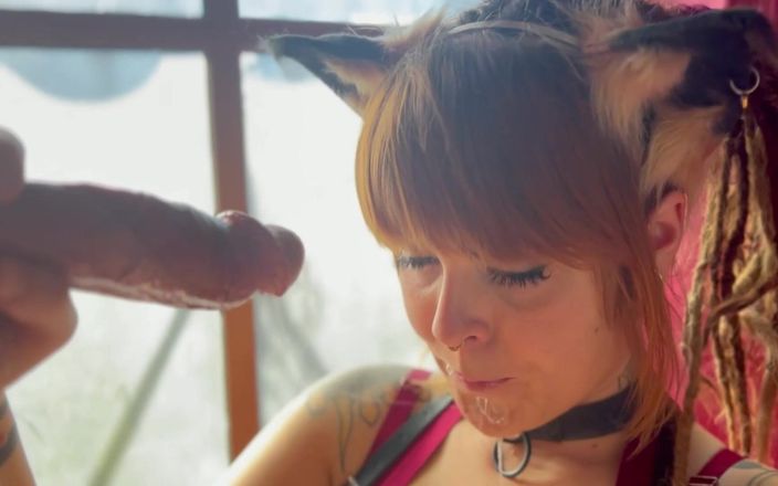 Olivia Jarden: Cea mai haotică pisicuță drăguță pe care o vei întâlni vreodată