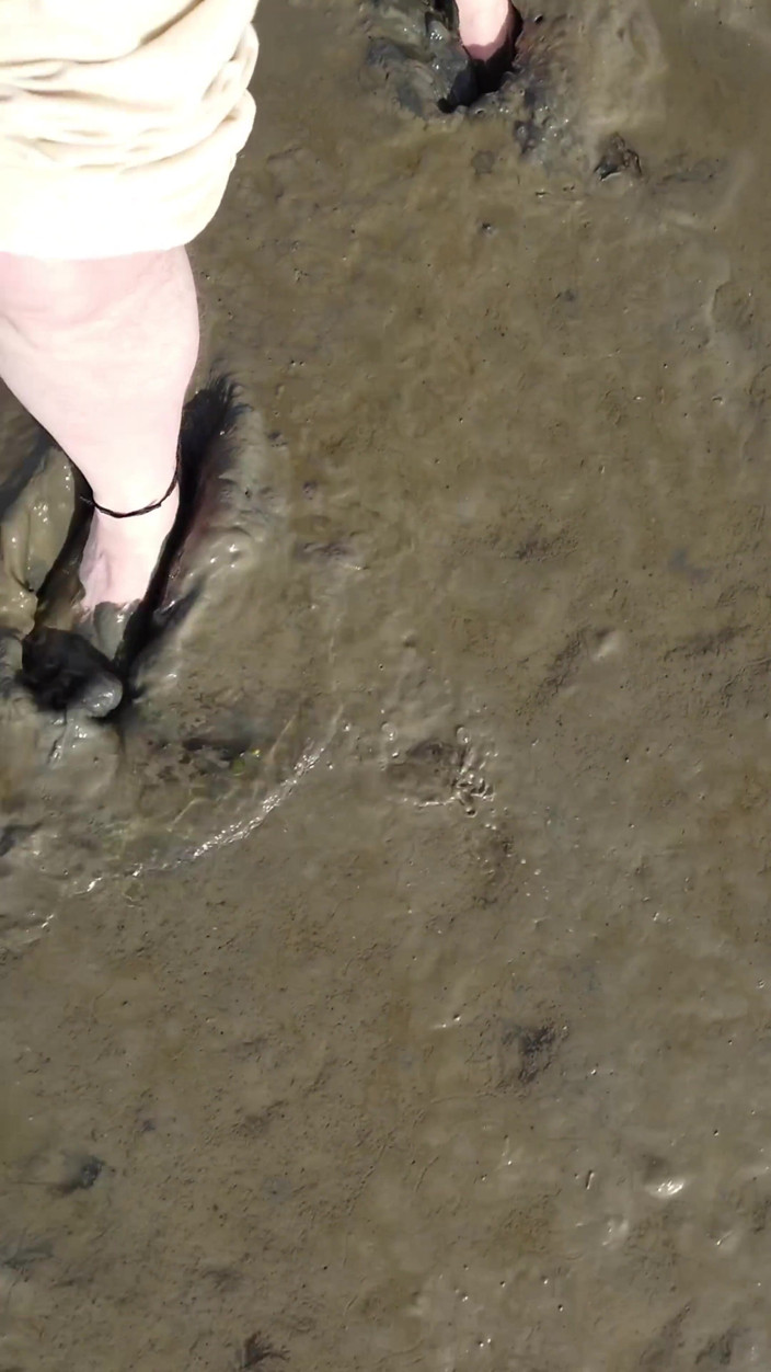 Footfetish: Short Test in the Mudflats on the Beach of Horumersiel