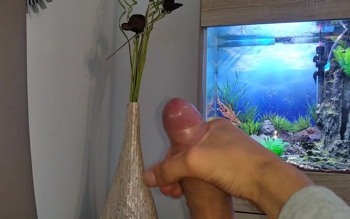 Arg B dick: Hot Young Guy Wanks his Nice Big Cock until he...