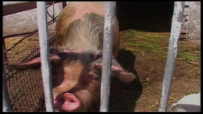 Vintage Movies XXX Best of: Tante seksi rambut pirang dientot habis-habisan di gudang dan di...