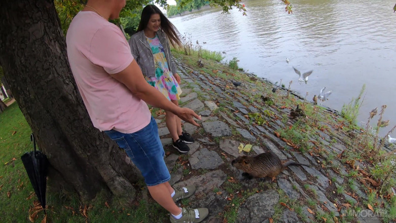 Immoral Live: Beavers and Creampies for Duck Feeding Cutie Serina Gomez - Part 1