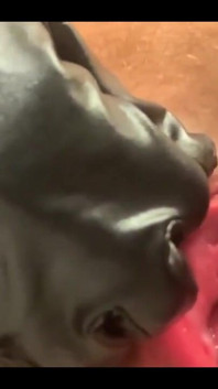 Stretched Cunt